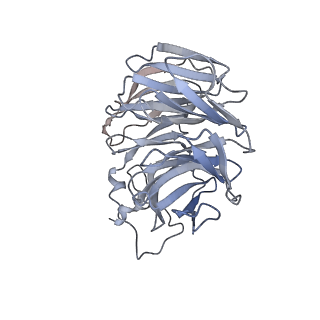 29261_8fky_BC_v1-1
Human nucleolar pre-60S ribosomal subunit (State F)