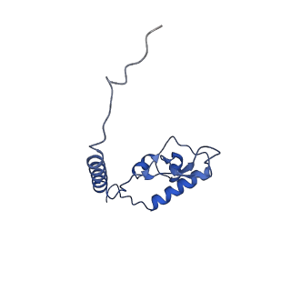 29261_8fky_L6_v1-1
Human nucleolar pre-60S ribosomal subunit (State F)