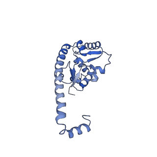 29261_8fky_L7_v1-1
Human nucleolar pre-60S ribosomal subunit (State F)