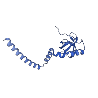 29261_8fky_L8_v1-1
Human nucleolar pre-60S ribosomal subunit (State F)