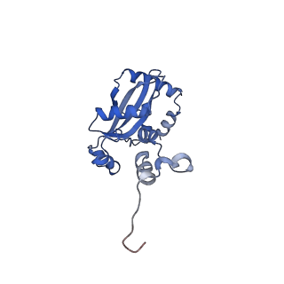 29261_8fky_L9_v1-1
Human nucleolar pre-60S ribosomal subunit (State F)