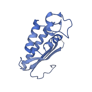 29261_8fky_LA_v1-1
Human nucleolar pre-60S ribosomal subunit (State F)
