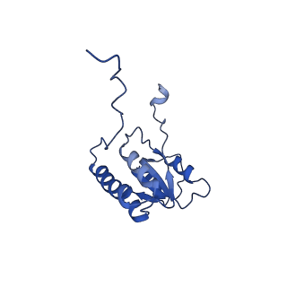 29261_8fky_LB_v1-1
Human nucleolar pre-60S ribosomal subunit (State F)
