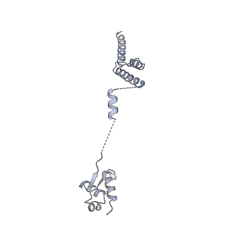 29261_8fky_LD_v1-1
Human nucleolar pre-60S ribosomal subunit (State F)