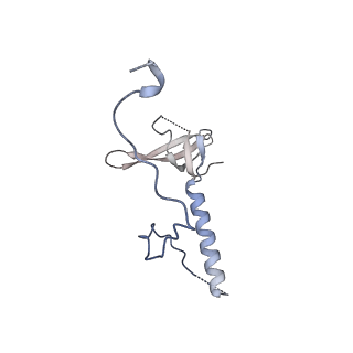 29261_8fky_LE_v1-1
Human nucleolar pre-60S ribosomal subunit (State F)