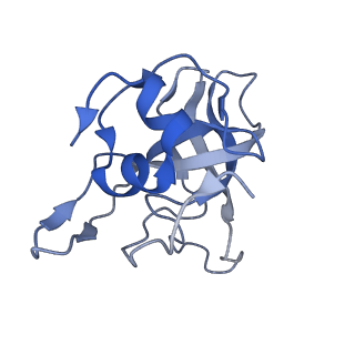 29261_8fky_LG_v1-1
Human nucleolar pre-60S ribosomal subunit (State F)