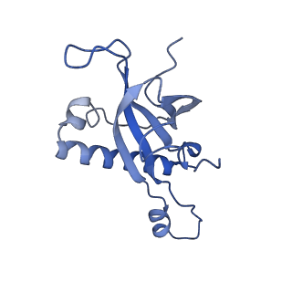 29261_8fky_LJ_v1-1
Human nucleolar pre-60S ribosomal subunit (State F)