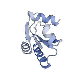 29261_8fky_LO_v1-1
Human nucleolar pre-60S ribosomal subunit (State F)