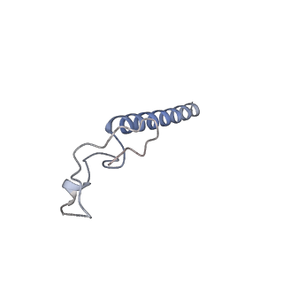 29261_8fky_LR_v1-1
Human nucleolar pre-60S ribosomal subunit (State F)