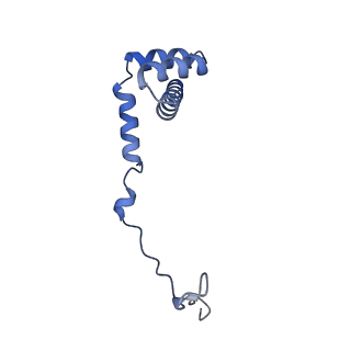 29261_8fky_LU_v1-1
Human nucleolar pre-60S ribosomal subunit (State F)