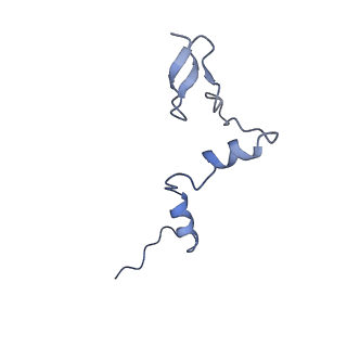 29261_8fky_LW_v1-1
Human nucleolar pre-60S ribosomal subunit (State F)