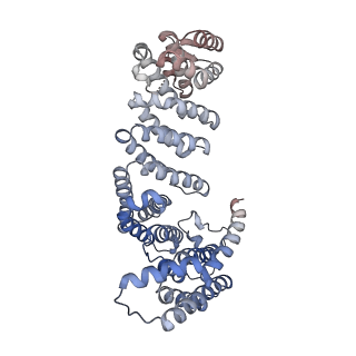29261_8fky_NA_v1-1
Human nucleolar pre-60S ribosomal subunit (State F)