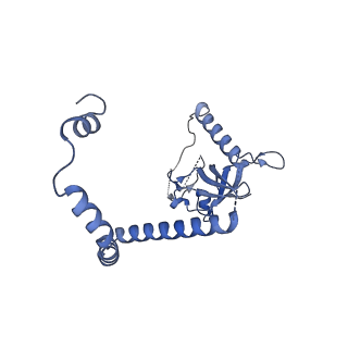 29261_8fky_NF_v1-1
Human nucleolar pre-60S ribosomal subunit (State F)