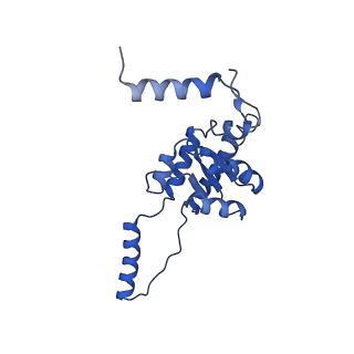 29261_8fky_SE_v1-1
Human nucleolar pre-60S ribosomal subunit (State F)
