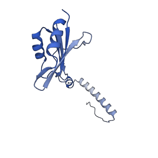 29261_8fky_SH_v1-1
Human nucleolar pre-60S ribosomal subunit (State F)