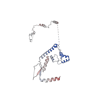 29261_8fky_SJ_v1-1
Human nucleolar pre-60S ribosomal subunit (State F)