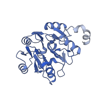 29261_8fky_SK_v1-1
Human nucleolar pre-60S ribosomal subunit (State F)