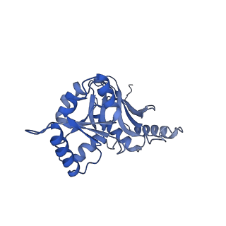 29261_8fky_SL_v1-1
Human nucleolar pre-60S ribosomal subunit (State F)
