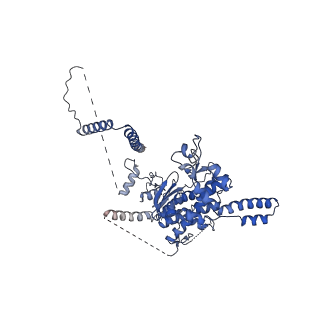 29261_8fky_SM_v1-1
Human nucleolar pre-60S ribosomal subunit (State F)