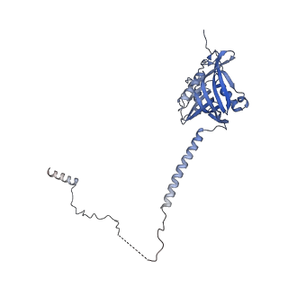 29261_8fky_SO_v1-1
Human nucleolar pre-60S ribosomal subunit (State F)