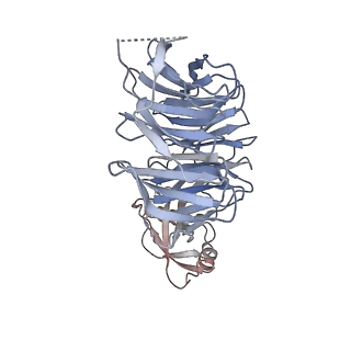 29261_8fky_SP_v1-1
Human nucleolar pre-60S ribosomal subunit (State F)
