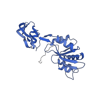 29261_8fky_SQ_v1-1
Human nucleolar pre-60S ribosomal subunit (State F)
