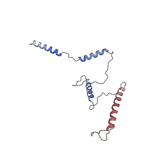 29261_8fky_ST_v1-1
Human nucleolar pre-60S ribosomal subunit (State F)