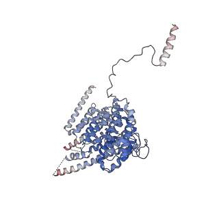 29261_8fky_SU_v1-1
Human nucleolar pre-60S ribosomal subunit (State F)