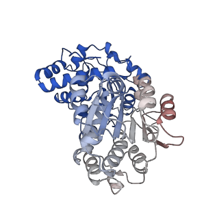 29261_8fky_SW_v1-1
Human nucleolar pre-60S ribosomal subunit (State F)