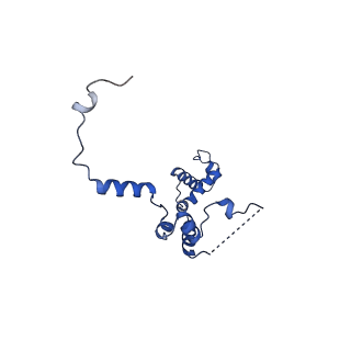 29261_8fky_SZ_v1-1
Human nucleolar pre-60S ribosomal subunit (State F)