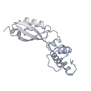 29262_8fkz_BA_v1-1
Human nucleolar pre-60S ribosomal subunit (State G)