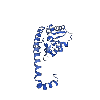 29262_8fkz_L7_v1-1
Human nucleolar pre-60S ribosomal subunit (State G)