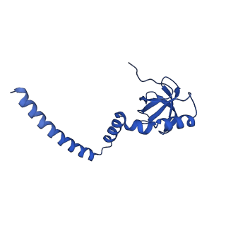 29262_8fkz_L8_v1-1
Human nucleolar pre-60S ribosomal subunit (State G)