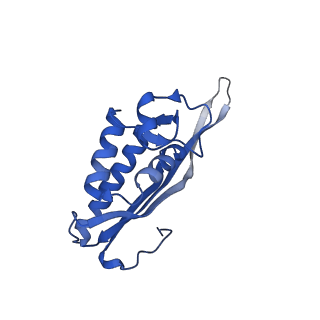 29262_8fkz_LA_v1-1
Human nucleolar pre-60S ribosomal subunit (State G)