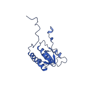 29262_8fkz_LB_v1-1
Human nucleolar pre-60S ribosomal subunit (State G)