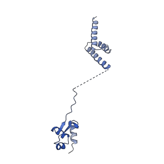 29262_8fkz_LD_v1-1
Human nucleolar pre-60S ribosomal subunit (State G)