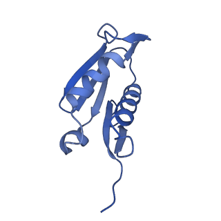 29262_8fkz_LF_v1-1
Human nucleolar pre-60S ribosomal subunit (State G)