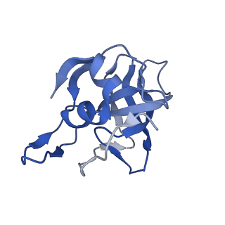 29262_8fkz_LG_v1-1
Human nucleolar pre-60S ribosomal subunit (State G)