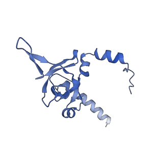 29262_8fkz_LI_v1-1
Human nucleolar pre-60S ribosomal subunit (State G)