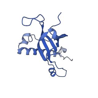 29262_8fkz_LJ_v1-1
Human nucleolar pre-60S ribosomal subunit (State G)