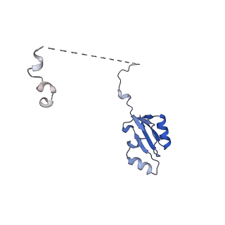 29262_8fkz_LK_v1-1
Human nucleolar pre-60S ribosomal subunit (State G)