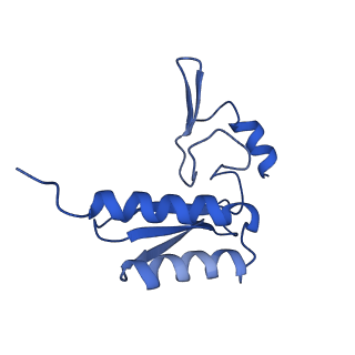 29262_8fkz_LL_v1-1
Human nucleolar pre-60S ribosomal subunit (State G)