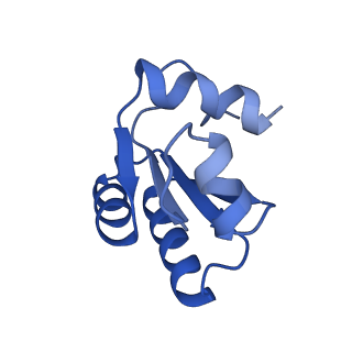 29262_8fkz_LO_v1-1
Human nucleolar pre-60S ribosomal subunit (State G)