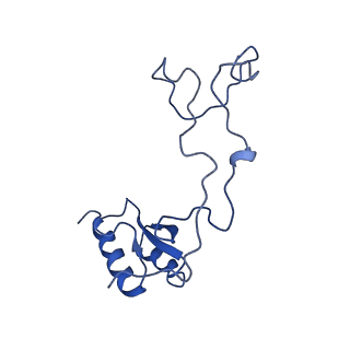 29262_8fkz_LQ_v1-1
Human nucleolar pre-60S ribosomal subunit (State G)