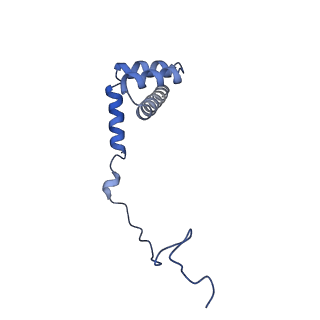29262_8fkz_LU_v1-1
Human nucleolar pre-60S ribosomal subunit (State G)