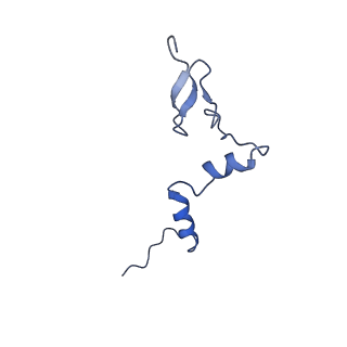 29262_8fkz_LW_v1-1
Human nucleolar pre-60S ribosomal subunit (State G)