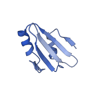 29262_8fkz_LY_v1-1
Human nucleolar pre-60S ribosomal subunit (State G)