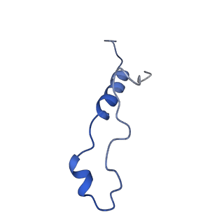 29262_8fkz_LZ_v1-1
Human nucleolar pre-60S ribosomal subunit (State G)