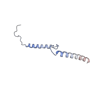 29262_8fkz_NB_v1-1
Human nucleolar pre-60S ribosomal subunit (State G)