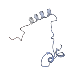29262_8fkz_NC_v1-1
Human nucleolar pre-60S ribosomal subunit (State G)